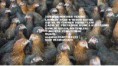 /album/resim-galerisi/picsart-1430920943864-jpg/